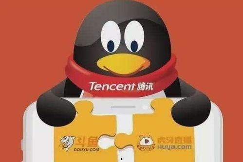 斗鱼今日头条在哪看,揭秘热门内容，轻松掌握直播资讯
