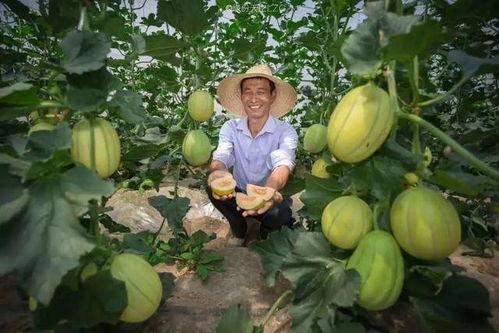 吴江文旅吃瓜,吃瓜群众眼中的美食盛宴