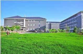 洛阳师范学院呆瓜老师是谁,教学风采与个性魅力并重