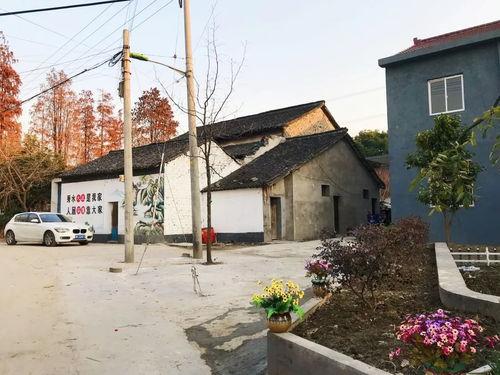 网红大庄村,揭秘乡村变身网红打卡地的奇迹之旅”