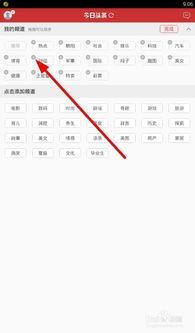 头条如何设置成网页版,轻松访问与分享攻略