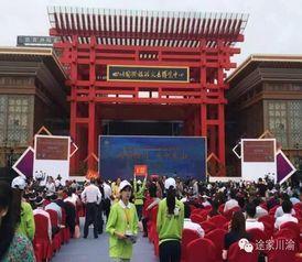 乐山旅博会明星,明星阵容闪耀旅游盛宴