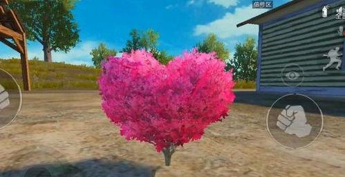 福州网红爱心树,见证爱情与友谊的绿色地标