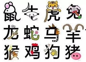 六字可以登头条的生肖,揭秘生肖背后的神秘力量